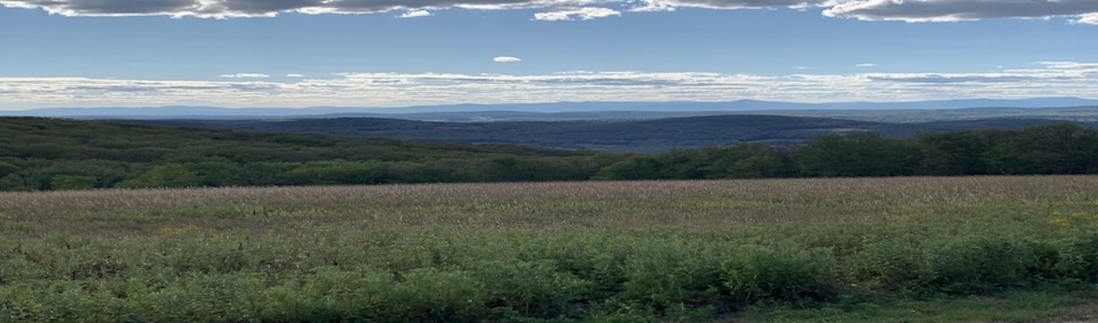 picture of hills
